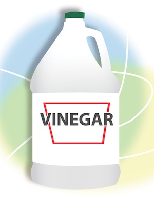 white-vinegar-generic